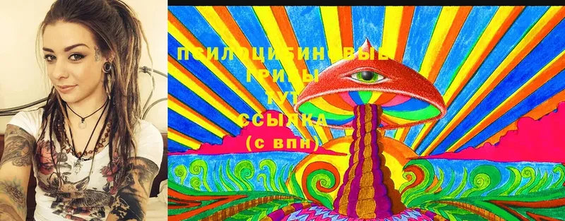 blacksprut ссылка  как найти наркотики  Кемь  Галлюциногенные грибы MAGIC MUSHROOMS 